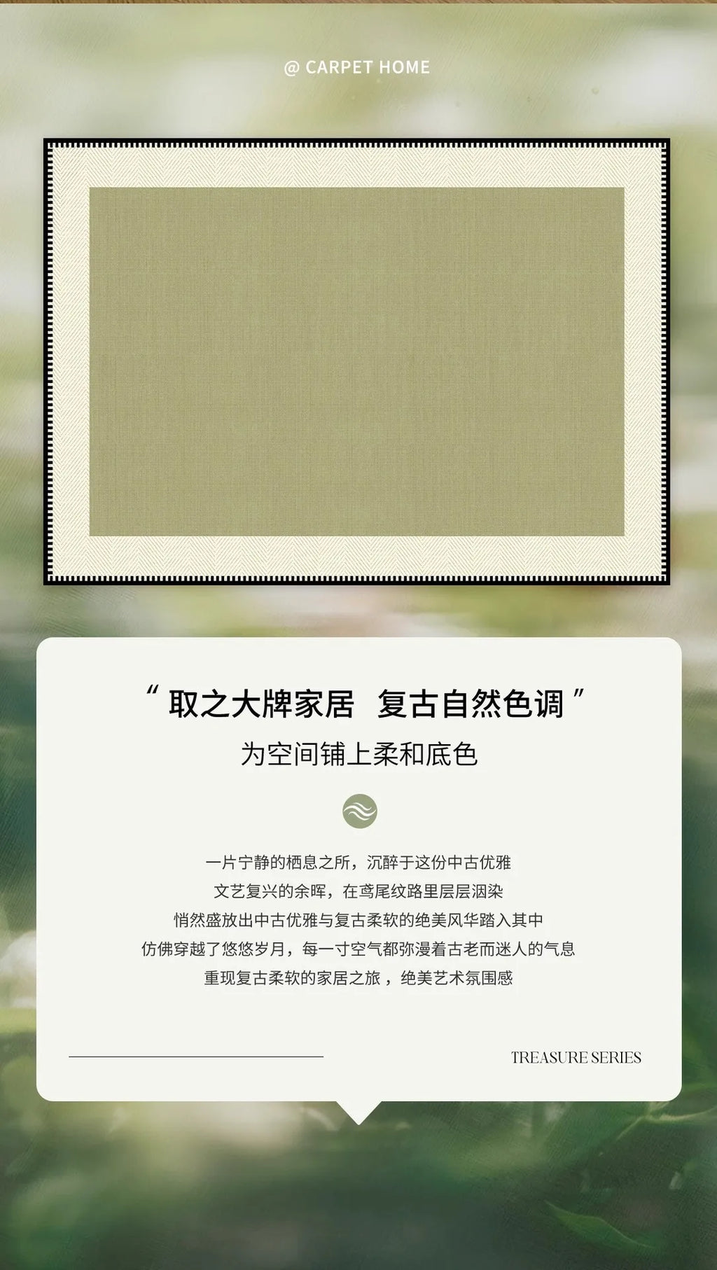 Olive rug with border