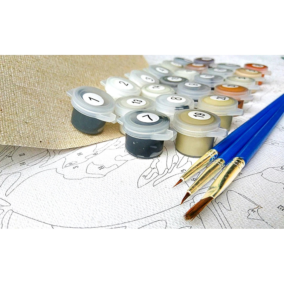 Oil Painting By Numbers